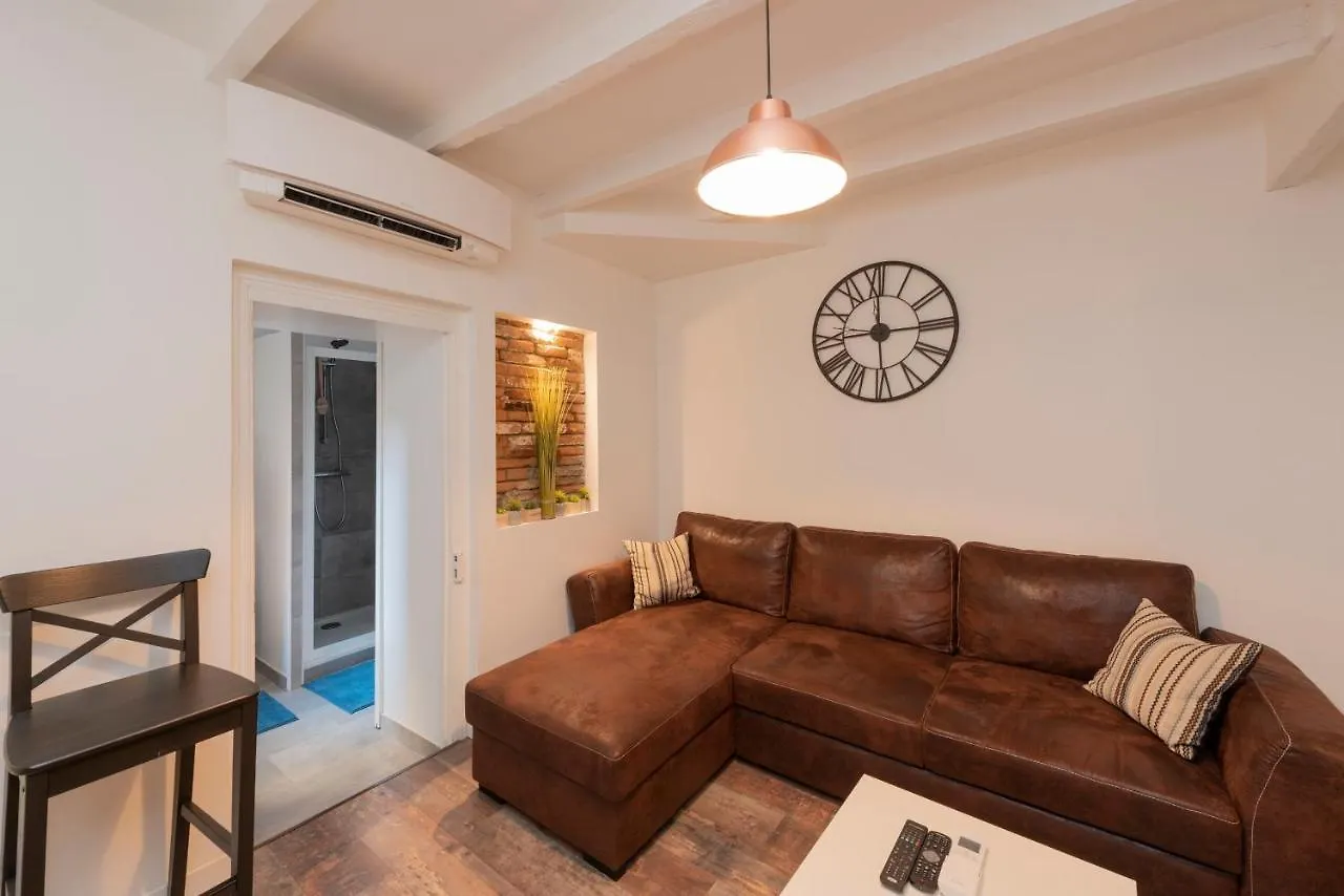 L'Aubuisson - Apt Climatise Avec Terrasse Privee Toulouse 0*,  France