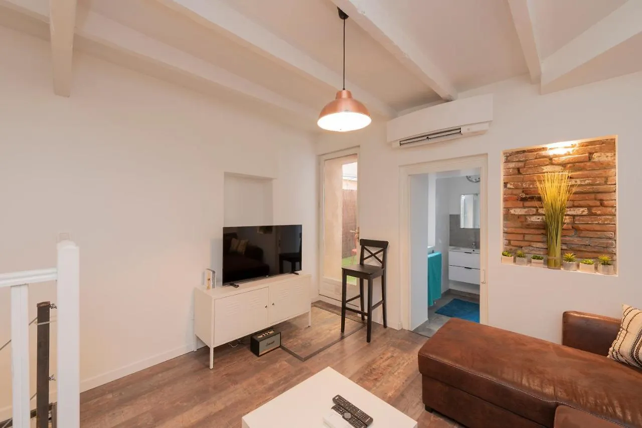 L'Aubuisson - Apt Climatise Avec Terrasse Privee Toulouse
