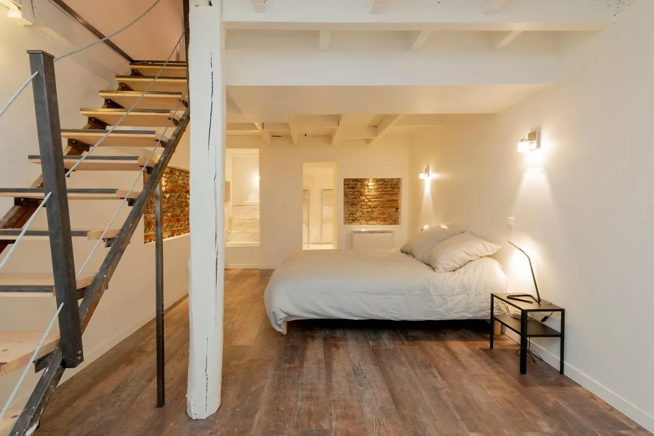 Apartment L'Aubuisson - Apt Climatise Avec Terrasse Privee Toulouse France